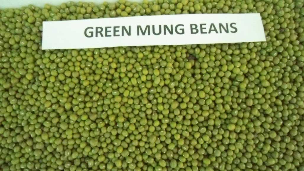 Green Mung Beans