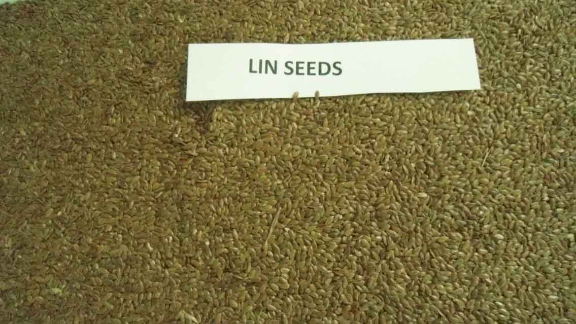 Lin Seed or Flax