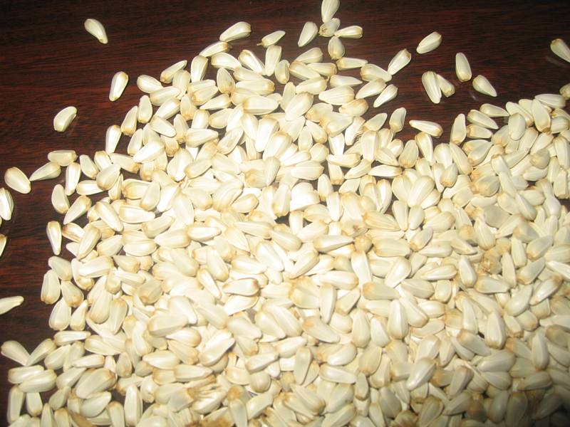 Safflower Seed .
